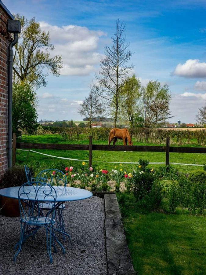 Отель Manoir Du Kasteelveld Кассель Экстерьер фото